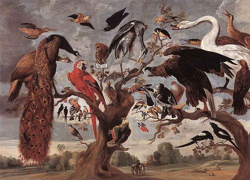 Jan Van Kessel Mockery of the Owl